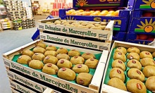 天津{[rep:天津纸托包装]}被广泛采用的优势是什么?-深圳市铭丰纸塑包