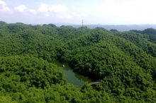 鸥露品牌腾飞高速!-四川石化雅诗纸业有限公司,石化雅诗,雅诗纸业